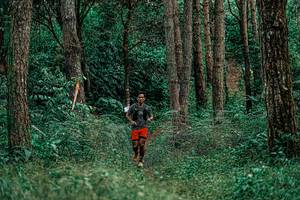 BIB: 
                            <button type="button" onclick="openModal(25237315)" class="btn btn-primary btn-sm float-right btn-popup" data-toggle="modal" data-target=".modal-high-quality">
                        <i class="fas fa-shopping-cart"></i> Add to Cart
                    </button>
                                            <button type="button" onclick="isThisMe(25237315, true)" class="btn btn-success btn-sm float-right btn-popup btn-isme hidden" data-toggle="tooltip" data-placement="bottom" title="นี่คือรูปของคุณใช่ไหม คลิกที่นี่เพื่อเอาเข้าอัลบั้ม">
                        <i class="fas fa-plus"></i> Add to album
                    </button>
                    <button type="button" onclick="isThisMe(25237315, false)" class="btn btn-warning btn-sm float-right btn-popup btn-isnotme hidden">
                        <i class="fas fa-ban"></i> Remove from album
                    </button>